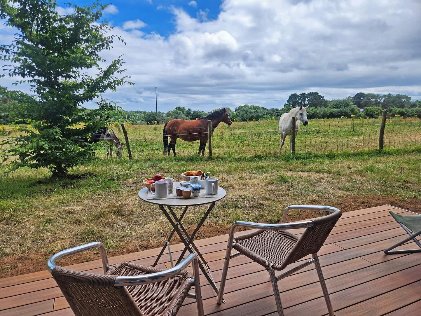 Gites & Tiny Houses Les Hauts De Toulvern Baden Δωμάτιο φωτογραφία