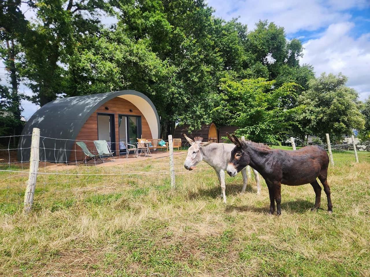 Gites & Tiny Houses Les Hauts De Toulvern Baden Δωμάτιο φωτογραφία