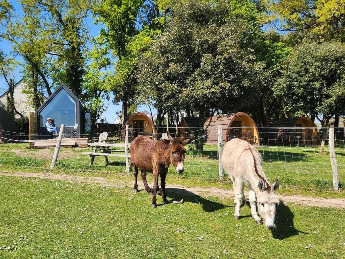 Gites & Tiny Houses Les Hauts De Toulvern Baden Δωμάτιο φωτογραφία